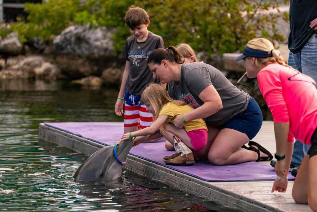 Wish granted: Girl plays with dolphins