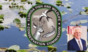 2026 Florida Python Challenge™ dates announced — registration now open
